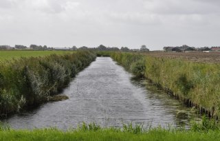 Waterschap+laat+rioolwater+in+sloten+om+droogte+te+bestrijden