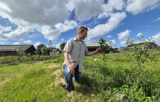 Zuid-Hollandse melkveehouder heeft primeur met voedselmoeras