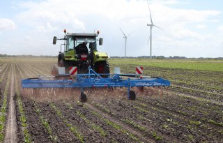 Herbiciden maken plaats voor mechanische onkruidbestrijding