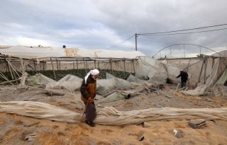 %27Minder+dan+5+procent+van+landbouwgrond+in+Gaza+is+bruikbaar%27