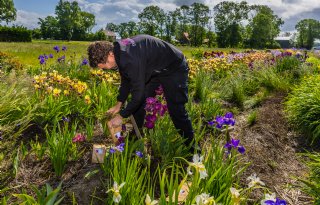 'Een kleiner bedrijf geeft ons veel meer werkplezier'
