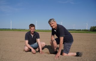 Gevolgen van alternaria nog steeds wat onderschat