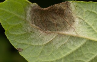 Wissel middelen af en maak gebruik van een BOS-systeem