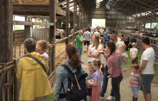 1.400 mensen bezoeken melkveebedrijf De Kamp tijdens Campina Open Boerderijdag