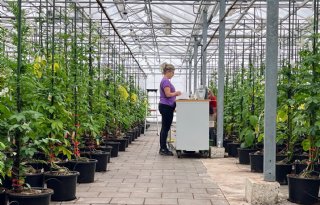 Aardappelkweekbedrijf Averis Seeds verbreedt de blik naar buiten