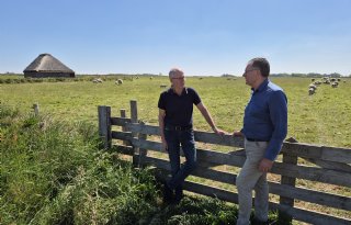 Schapenhouders strijden samen om schaarse Texelse grond