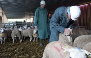 Scherp toezicht tijdens Offerfeest