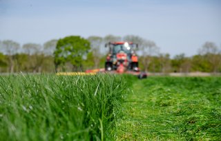 Maaihoogte bepalend voor succes van doorzaaien