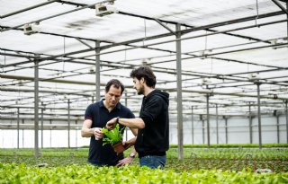 Kweekbedrijf berekent ecologische voetafdruk van alle potplanten