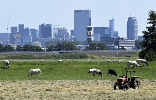 'Kloof tussen stad en platteland veel kleiner dan gedacht'