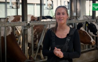 Samenwerken aan een toekomstbestendig melkveebedrijf