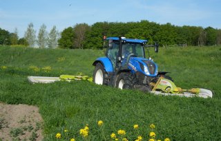 Productief en biodivers komen samen op BAM-akkers