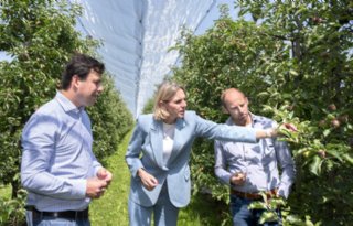 Utrechtse doelsturingsregeling nu ook open voor fruittelers