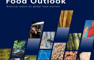 FAO positief over voedselproductie, behalve bij suiker