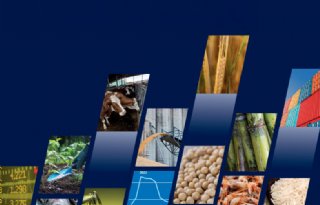FAO positief over voedselproductie, behalve bij suiker