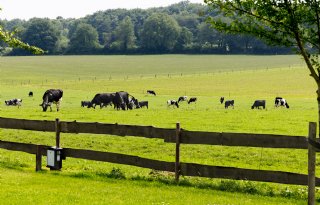 Plan voor geborgde doorbraak vergunningverlening