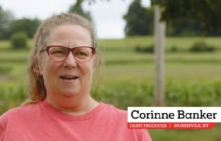 Supplement helpt koe bij overgang naar droogstand