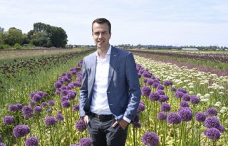 Directeur Vavi vertrekt naar Greenports Nederland