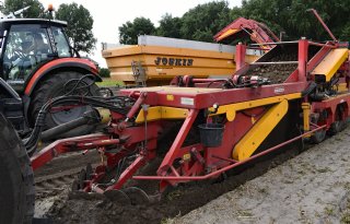 Vlotte oogst bloembollen: 'Slechts af en toe een bokkig tuintje'