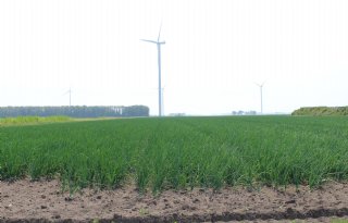 CAV Agrotheek krijgt forse boete voor verkeerd advies in zilveruien