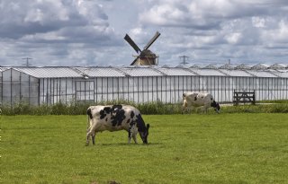 'Maak in Europa verschillende zones voor landbouw'