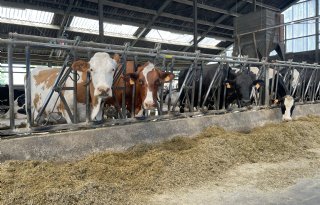 Noord%2DHolland+en+sector+geven+als+eerste+invulling+aan+landelijk+beleid+stikstofreductie