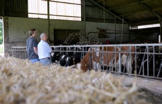 Melkveehouder Bart Achtereekte ziet kansen en uitdagingen in sector