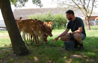 Limburgse+melkveehouder+ziet+natuur+als+bondgenoot