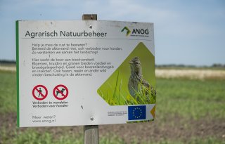 Agractie+wil+geen+%27subsidie%2Dinfuus%27+van+NSC%2C+NAJK+mist+jonge+boeren