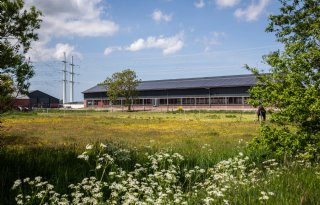 Negatieve stroomprijs raakt zonneboeren