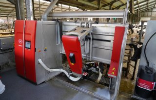 Lely melkt grote koppels koeien met Astronaut Max