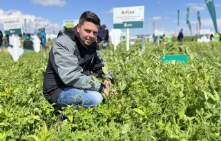 Het stikstofpotentieel van groenbemesters: inzicht in N-dynamiek