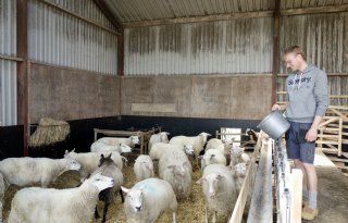 'Een kaasje met een bijzondere smaak verkoopt zichzelf'