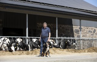 Van koe naar kilowatt met opslagsysteem