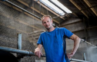 Gerichte voeraanpak als wapen tegen hittestress bij koeien