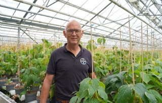 Bonenrassen met verbeterde resistentie tegen sclerotinia