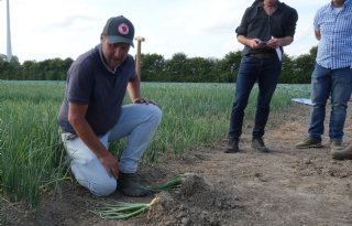 Hutspotproject%3A+biologische+aardappelen%2C+peen+en+uien+constant+in+schappen
