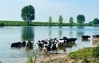 Meer taken voor collectieven