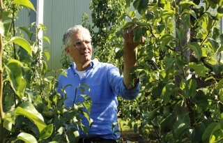 De lekkerste appels zijn voor de voedselbank