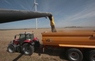 Opbrengsten graszaad zijn sterk wisselend