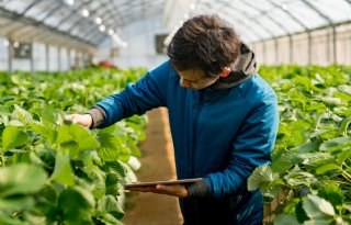 Biobest versterkt zich met technologie van Ecoation