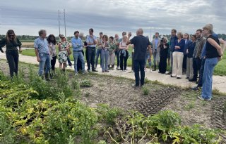 Lidl start pilot voor drastische vermindering middelengebruik