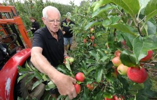 Appels en peren profiteren van goed groeiseizoen