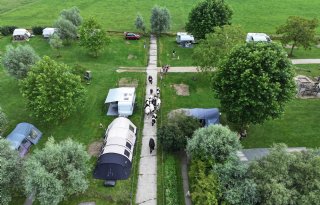 Koeien lopen over boerencamping in de Achterhoek: 'Een gouden zet'