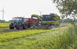 Drentse teler oogst korte en dikke Parijse wortelen, precies zoals het moet