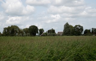Een rietteler is vooral ook een natuurbeheerder