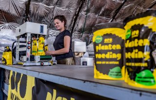 Overbodige schapenwol wordt vernieuwende bemester en groeimedium