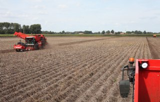 Akkerbouwsector geeft klap op negen nieuwe onderzoeken