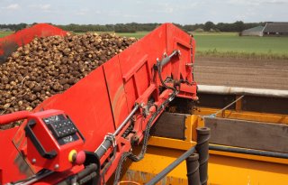 Zonder afzet geen groei voor biologische aardappelen
