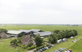 Zon, zee en koeien op Boerencamping de Kei in Castricum
